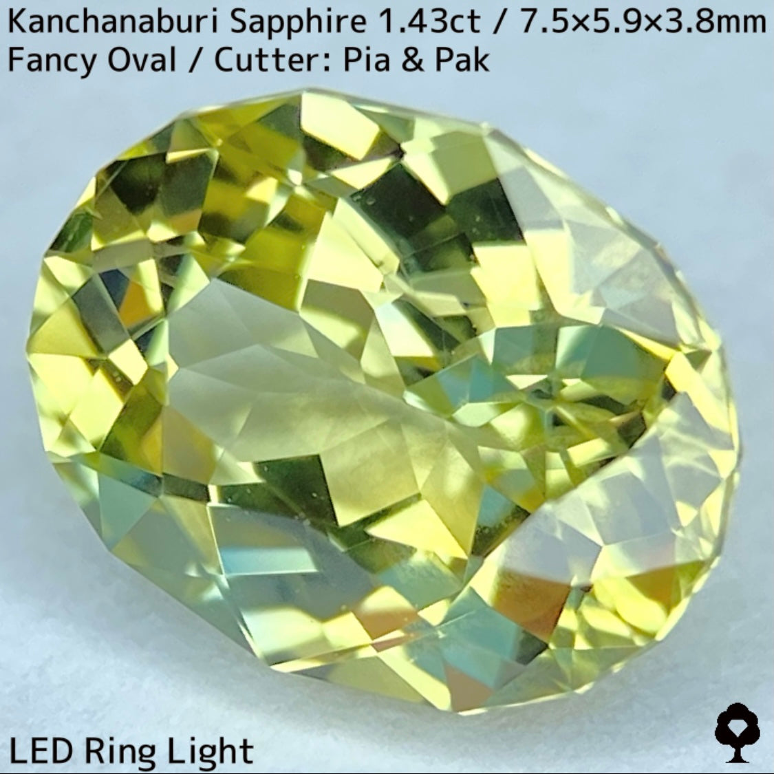 Kanchanaburi Sapphire 1.43ct