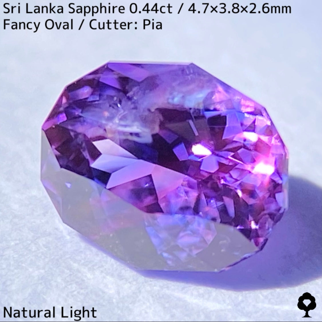 [For the successful bidder only] Sri Lankan sapphire 0.44ct ★ 2024.1.14 GTJ Founding Anniversary Chat Auction