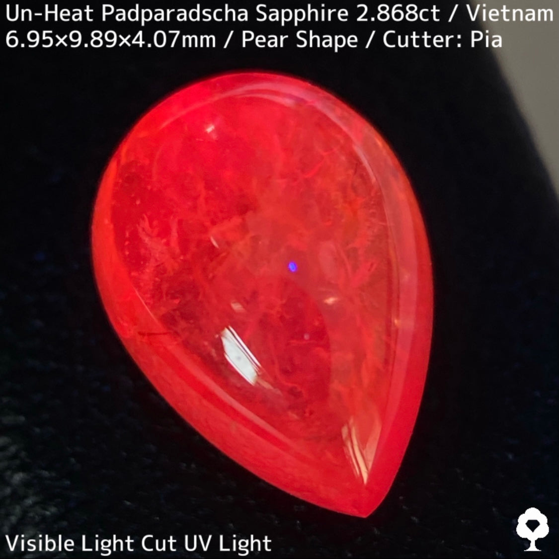 Un-Heat Padparadscha Sapphire 2.868ct / Vietnam