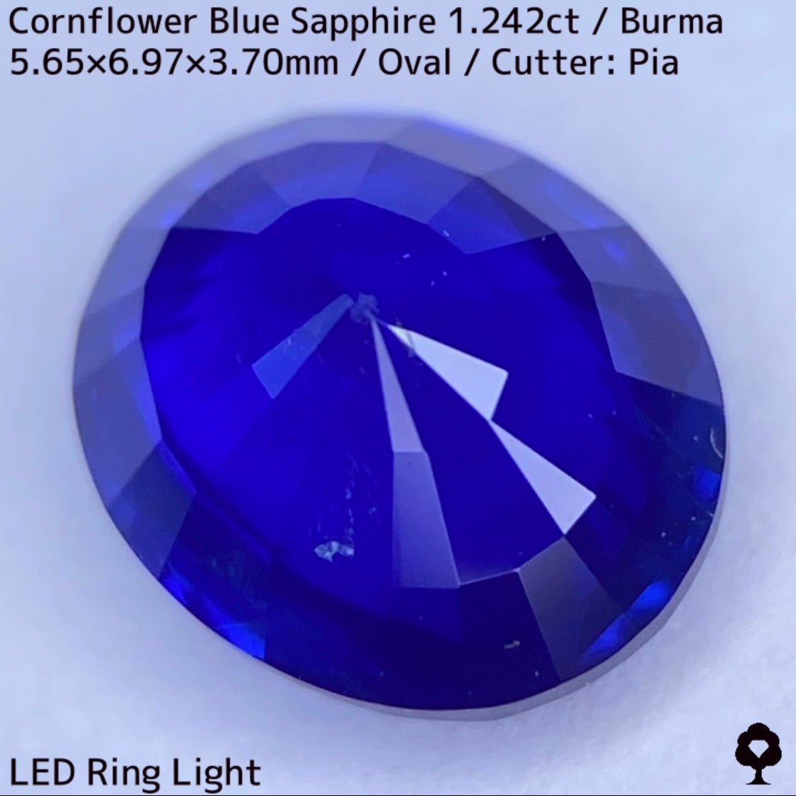 CornFlowerBlue Sapphire 1.242ct / Burma