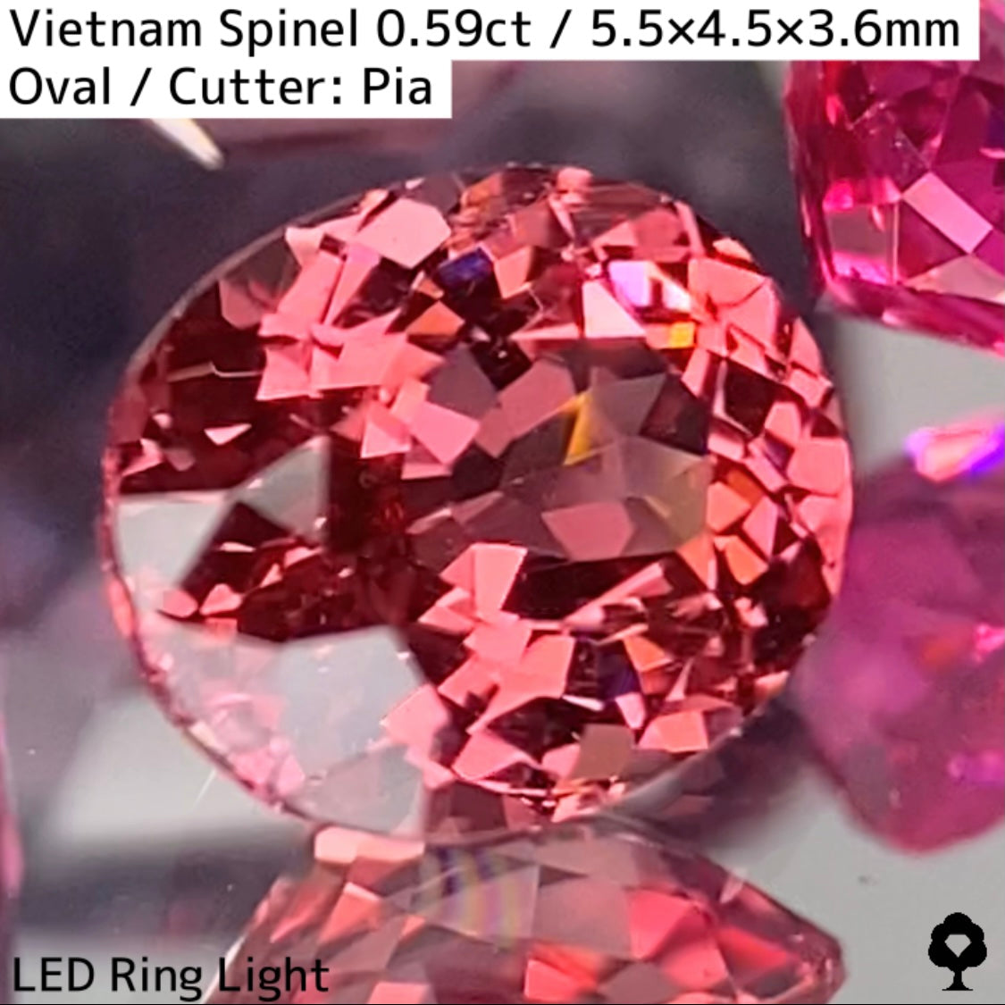 Orange Spinel 0.59ct / Vietnam