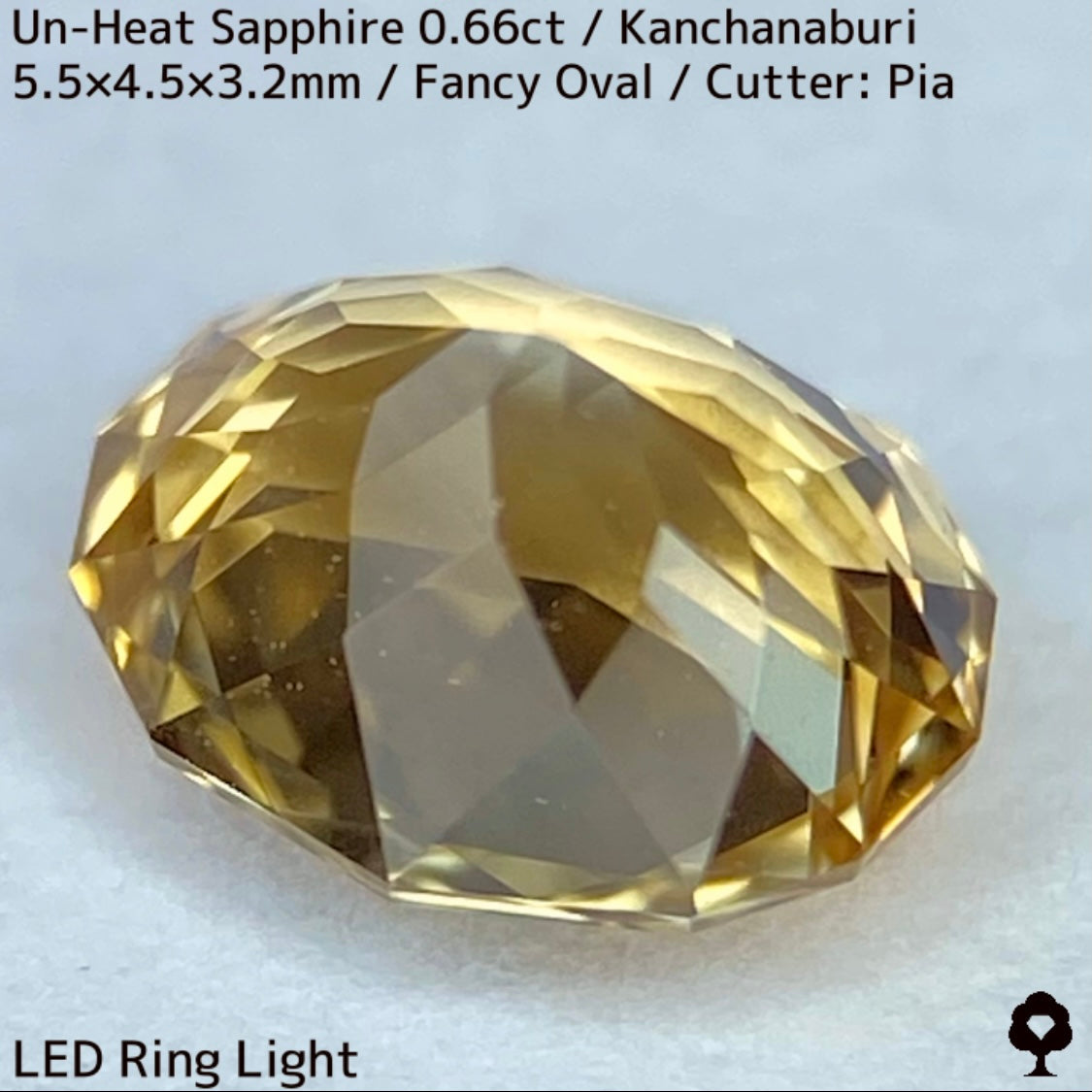 Un-Heat Yellow Sapphire 0.661ct / Kanchanaburi