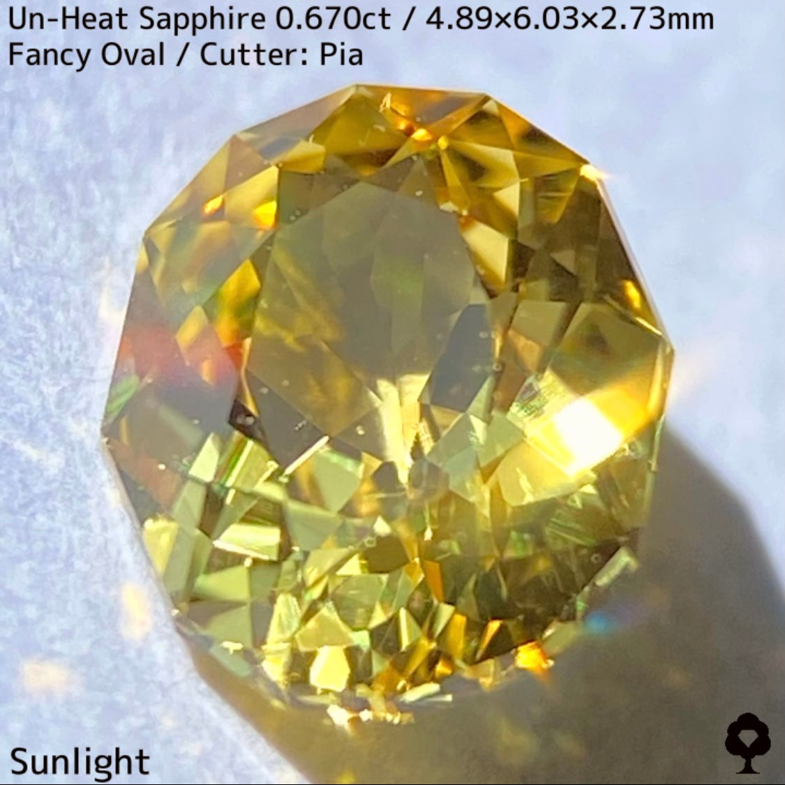 Un-Heat Yellow Sapphire 0.670ct / Kanchanaburi