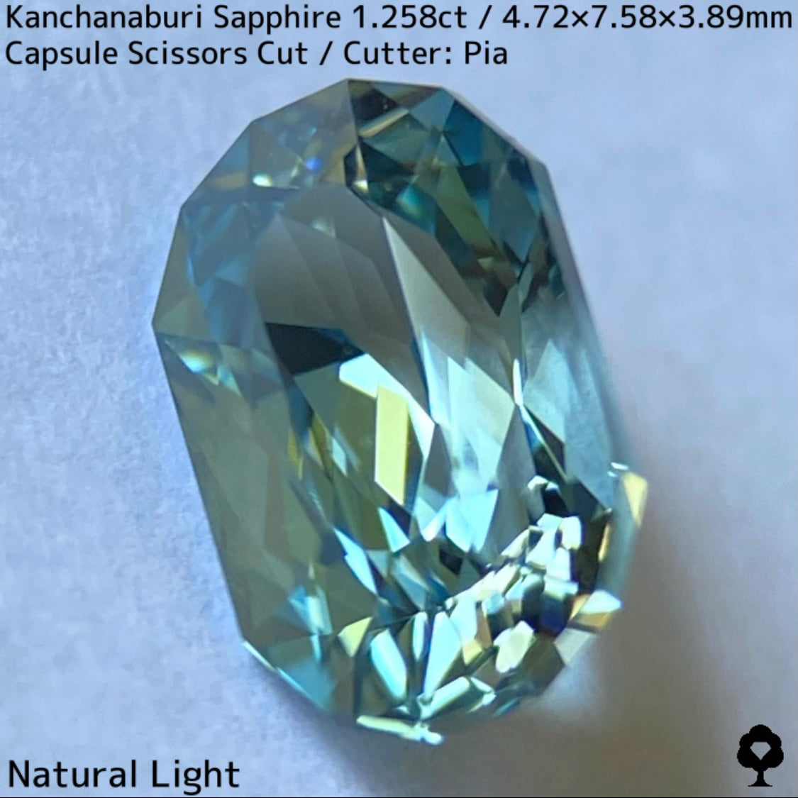 Kanchanaburi Sapphire 1.258ct