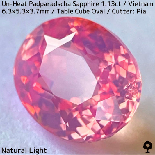 【名作】Un-Heat Padparadscha Sapphire 1.136ct / Vietnam