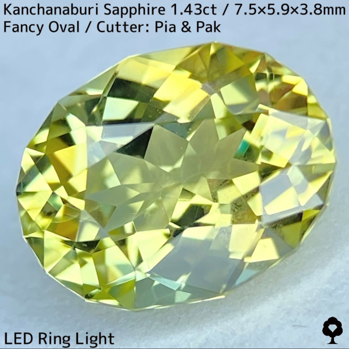 Kanchanaburi Sapphire 1.43ct