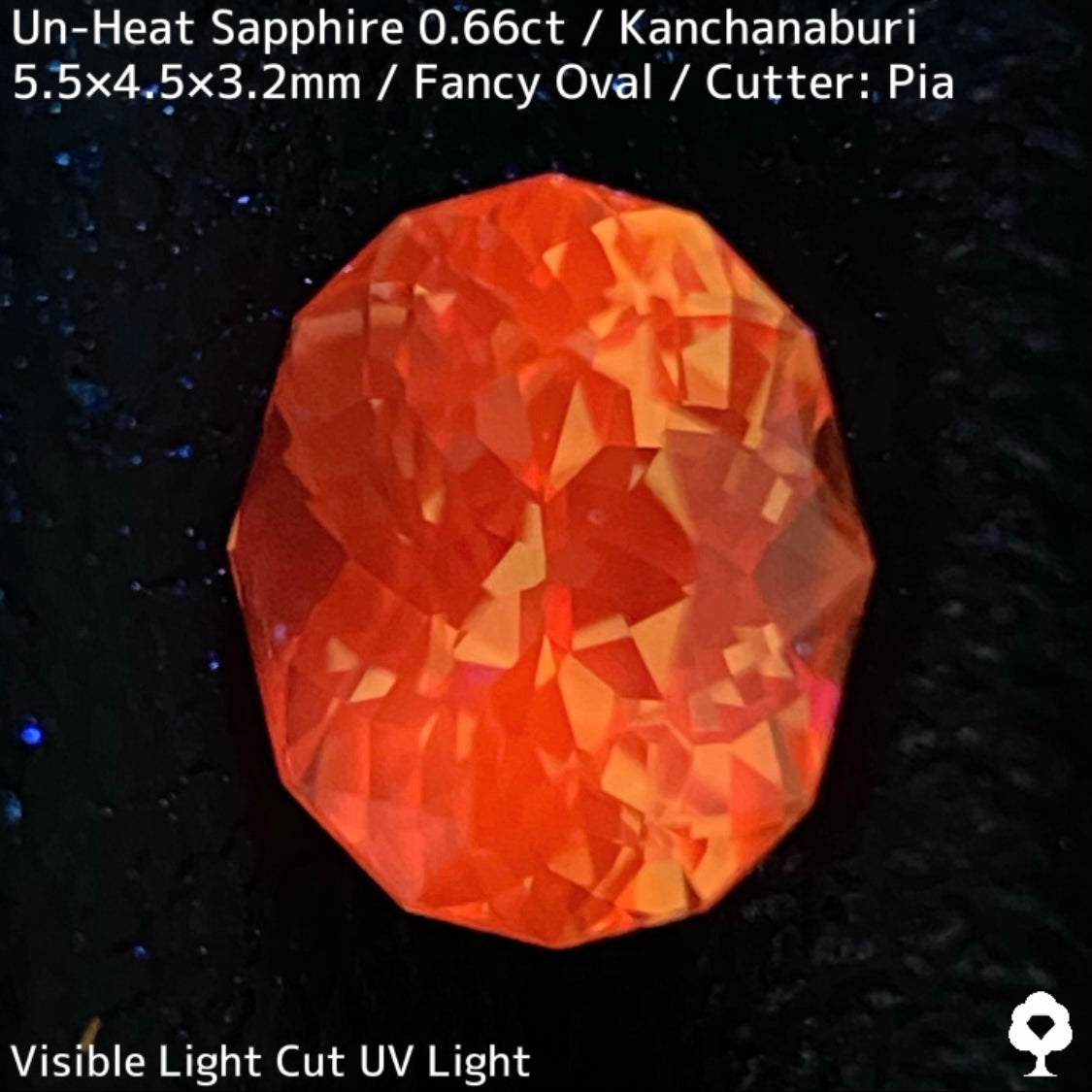 Un-Heat Yellow Sapphire 0.661ct / Kanchanaburi