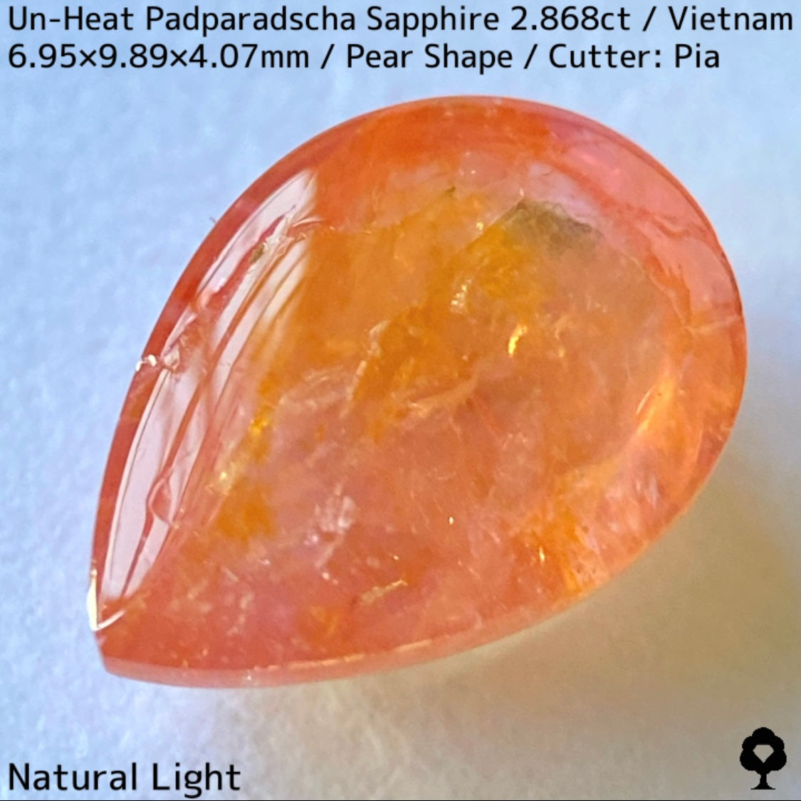 Un-Heat Padparadscha Sapphire 2.868ct / Vietnam