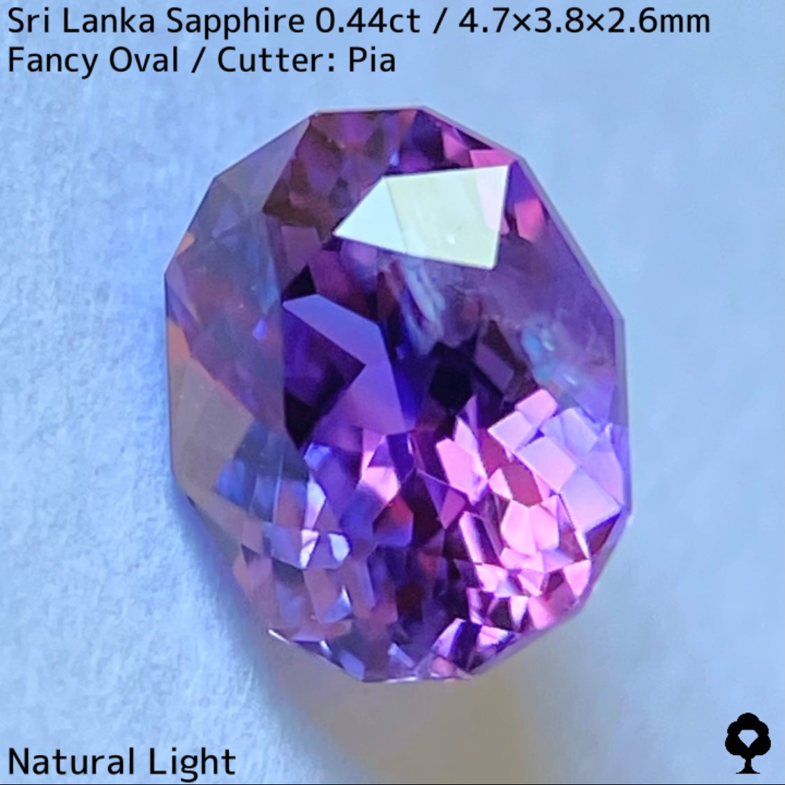 [For the successful bidder only] Sri Lankan sapphire 0.44ct ★ 2024.1.14 GTJ Founding Anniversary Chat Auction