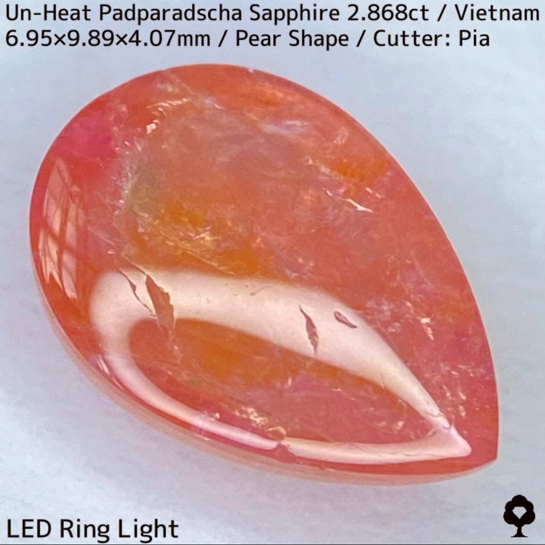 Un-Heat Padparadscha Sapphire 2.868ct / Vietnam