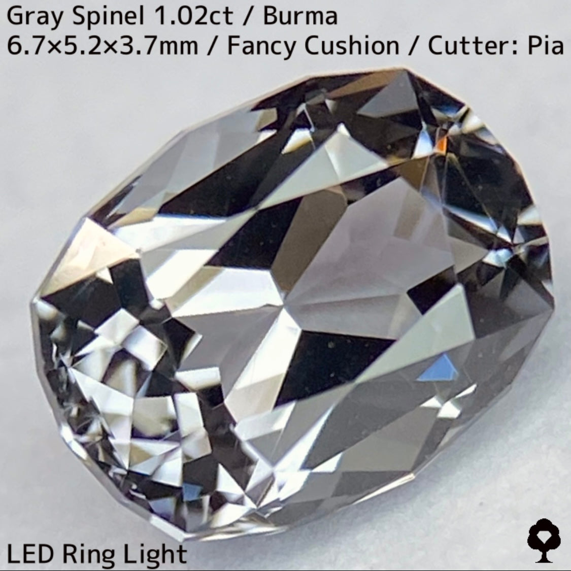 Gray Spinel 1.024ct / Burma