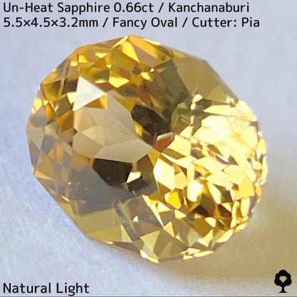 Un-Heat Yellow Sapphire 0.661ct / Kanchanaburi