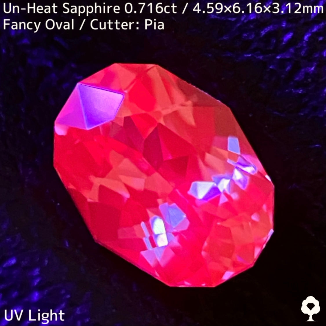 Unheated Madagascar sapphire 0.716ct ★ High quality, luxurious pinkish purple crystal with a super clear beauty