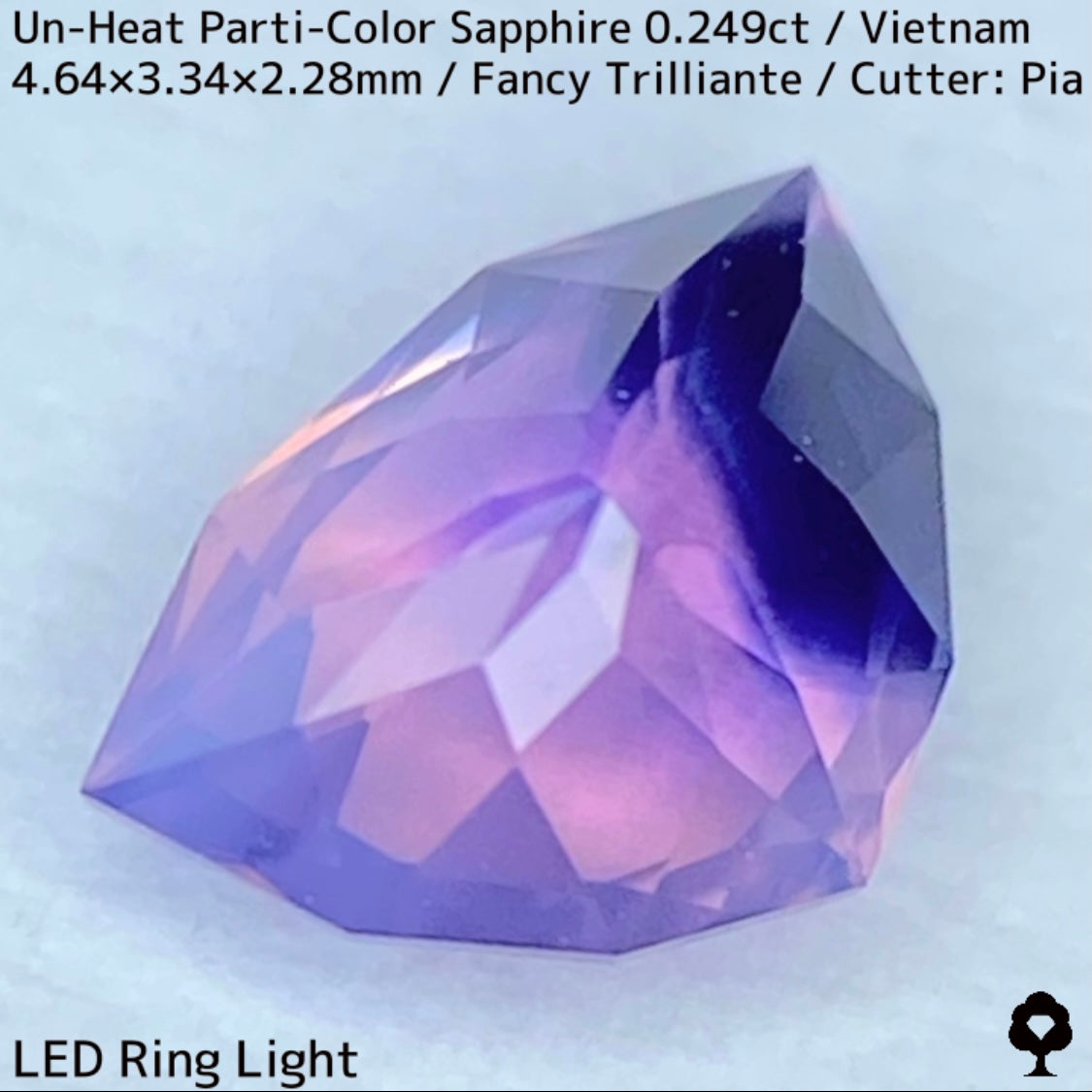 Parti-Color Sapphire 0.249ct / Vietnam