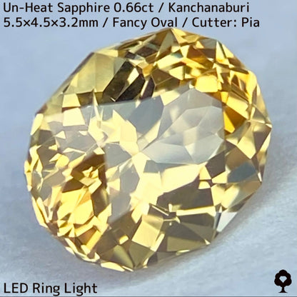 Un-Heat Yellow Sapphire 0.661ct / Kanchanaburi