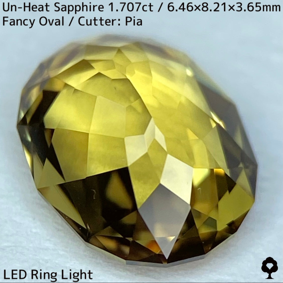 1.707ct unheated sapphire from Madagascar ★ The subtle greenish gold gives it a chic and gorgeous sparkle