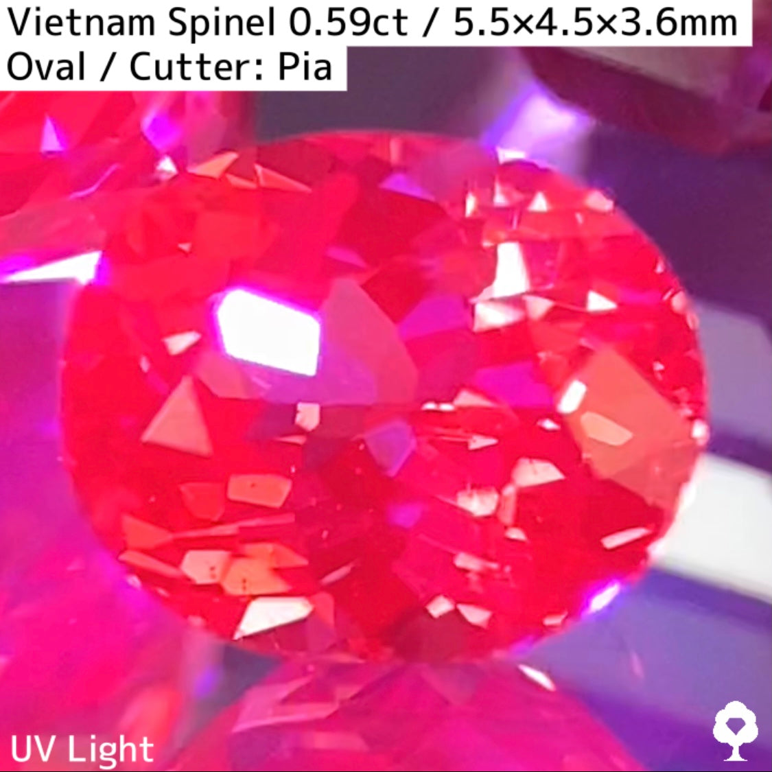 Orange Spinel 0.59ct / Vietnam