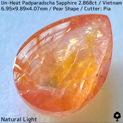 Un-Heat Padparadscha Sapphire 2.868ct / Vietnam