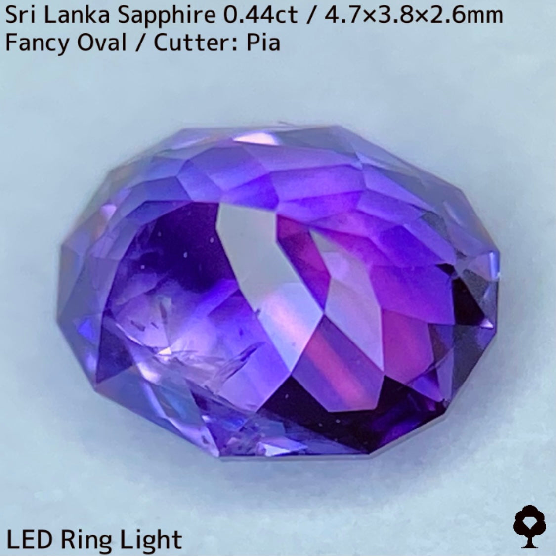 [For the successful bidder only] Sri Lankan sapphire 0.44ct ★ 2024.1.14 GTJ Founding Anniversary Chat Auction