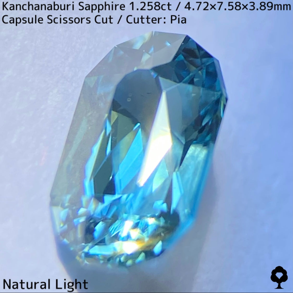 Kanchanaburi Sapphire 1.258ct