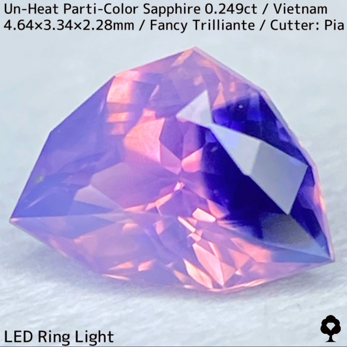 Parti-Color Sapphire 0.249ct / Vietnam