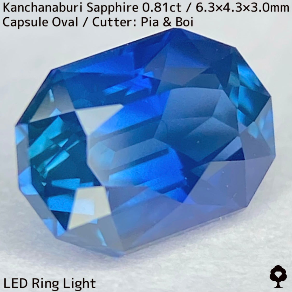 カンチャナブリー産サファイア0.81ct★シルキーブルーのグラデーションがたまらないカプセルカット