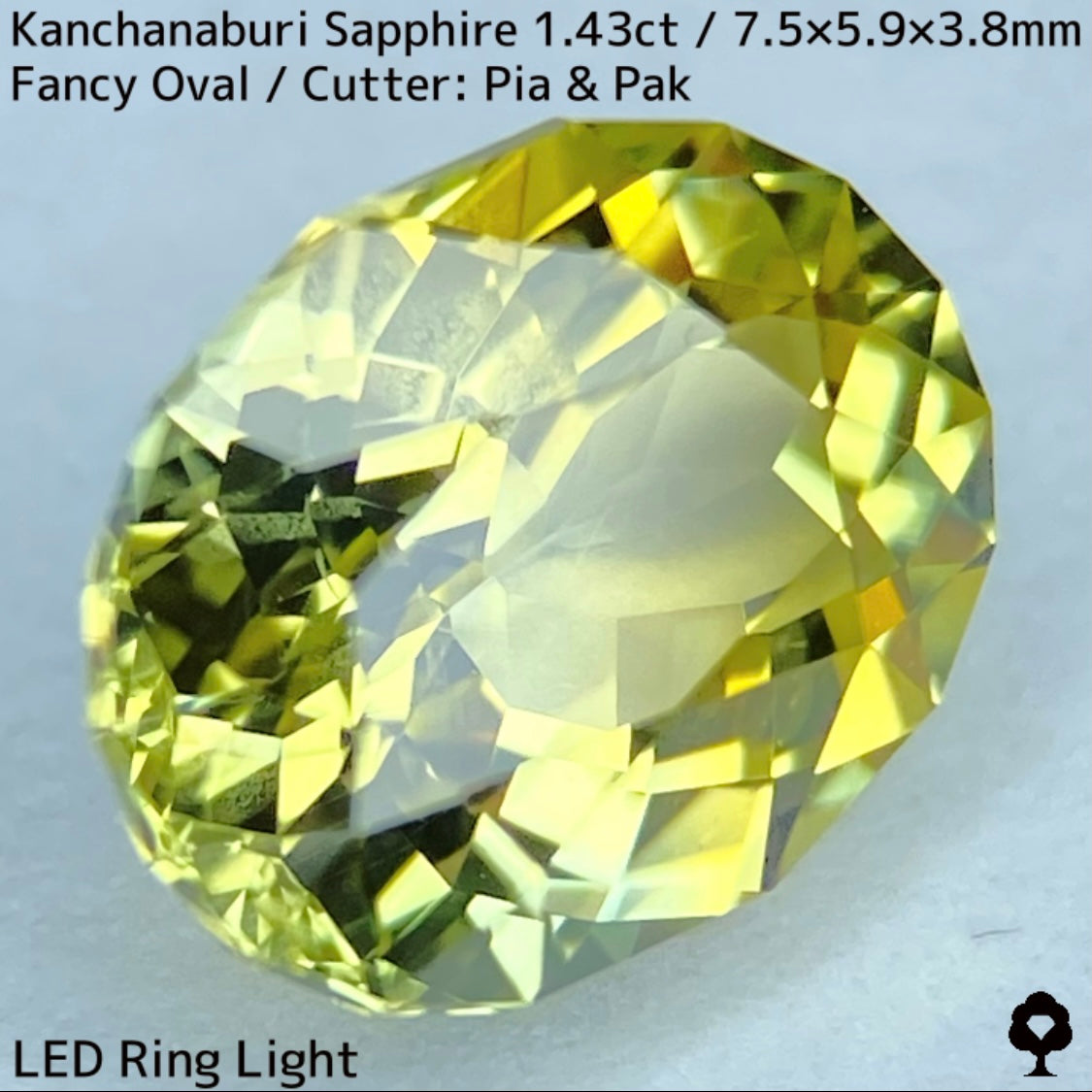 Kanchanaburi Sapphire 1.43ct