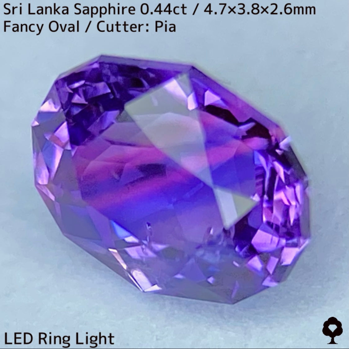 [For the successful bidder only] Sri Lankan sapphire 0.44ct ★ 2024.1.14 GTJ Founding Anniversary Chat Auction