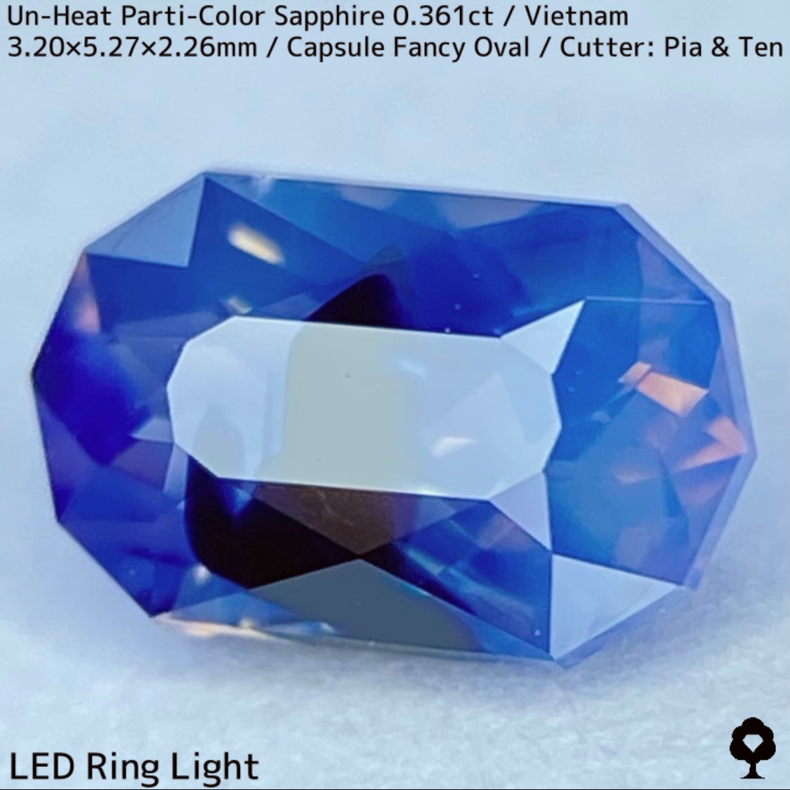 [For the Winner Only] Unheated Parti-Color Sapphire from Vietnam 0.361ct