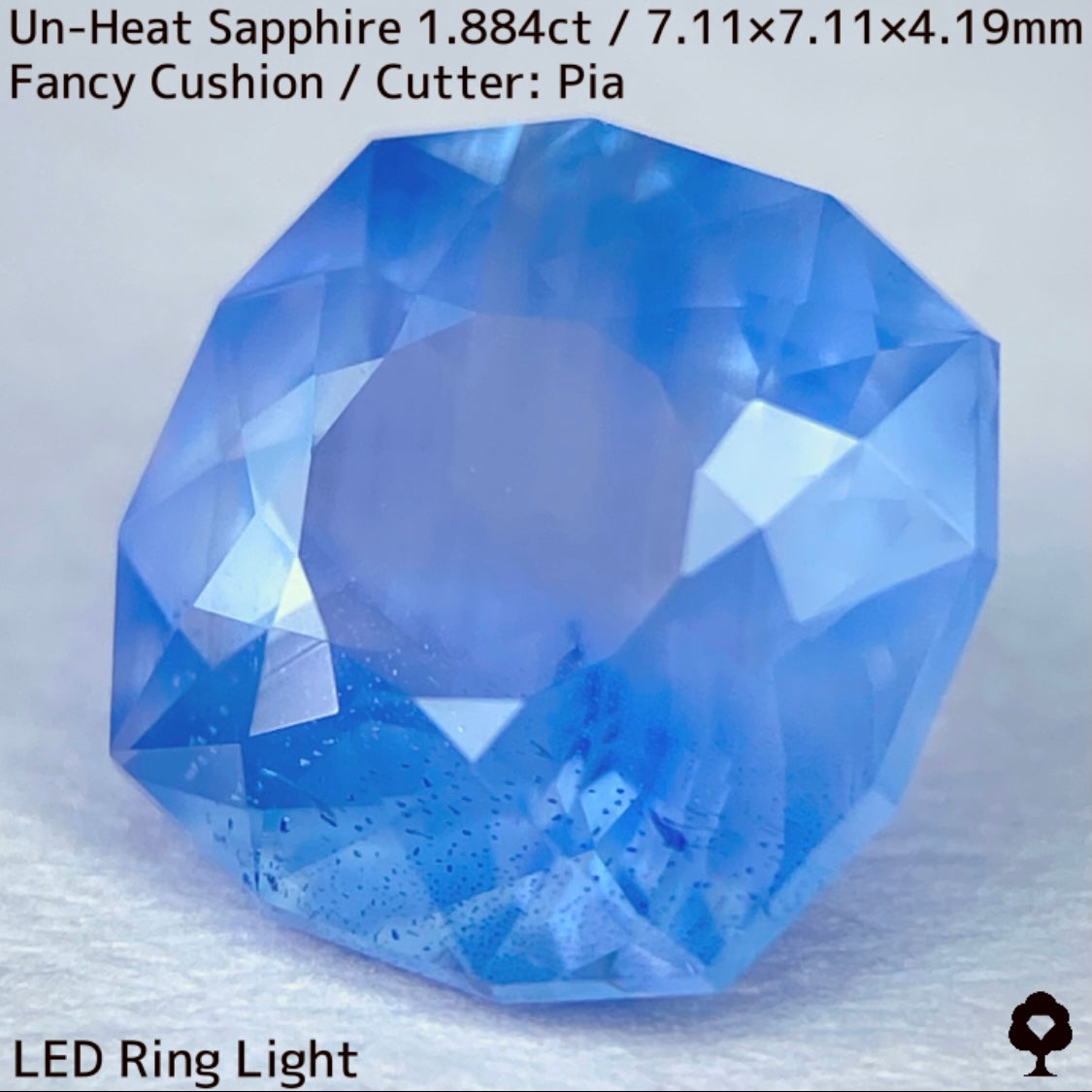 [For the successful bidder only] Unheated sapphire 1.884ct★2024.1.14GTJ Founding Anniversary Chat Auction