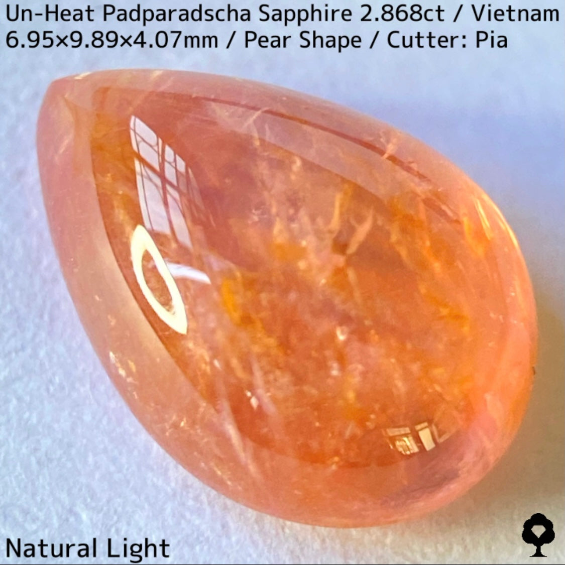 Un-Heat Padparadscha Sapphire 2.868ct / Vietnam