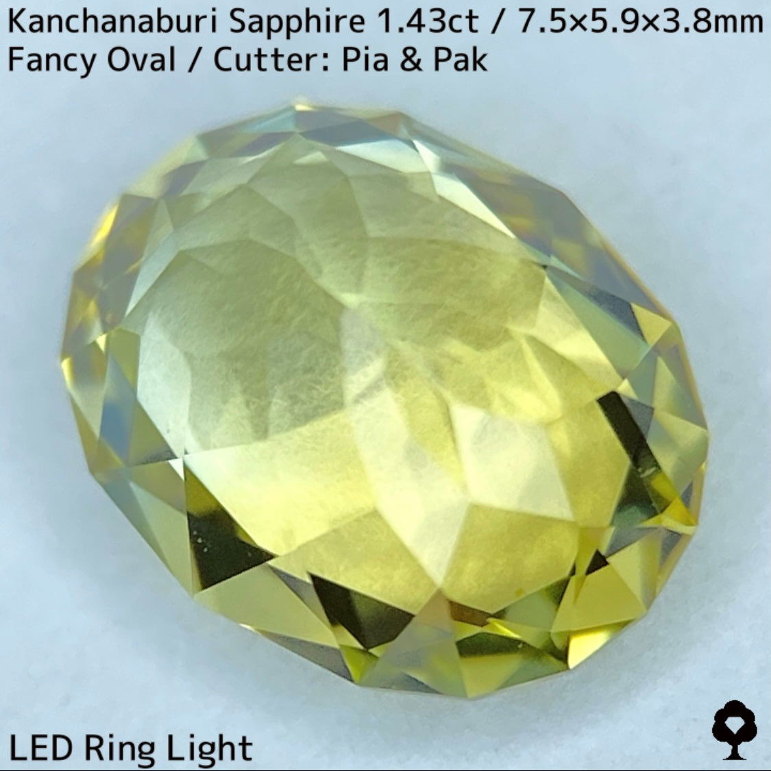 Kanchanaburi Sapphire 1.43ct