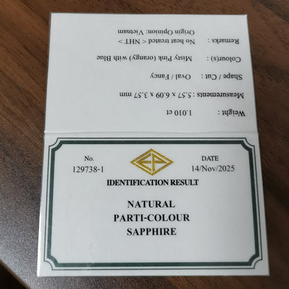 【Trial】“Dark Blue ＆ Silky Pink” Un-Heat Parti-Color Sapphire 1.010ct / Vietnam