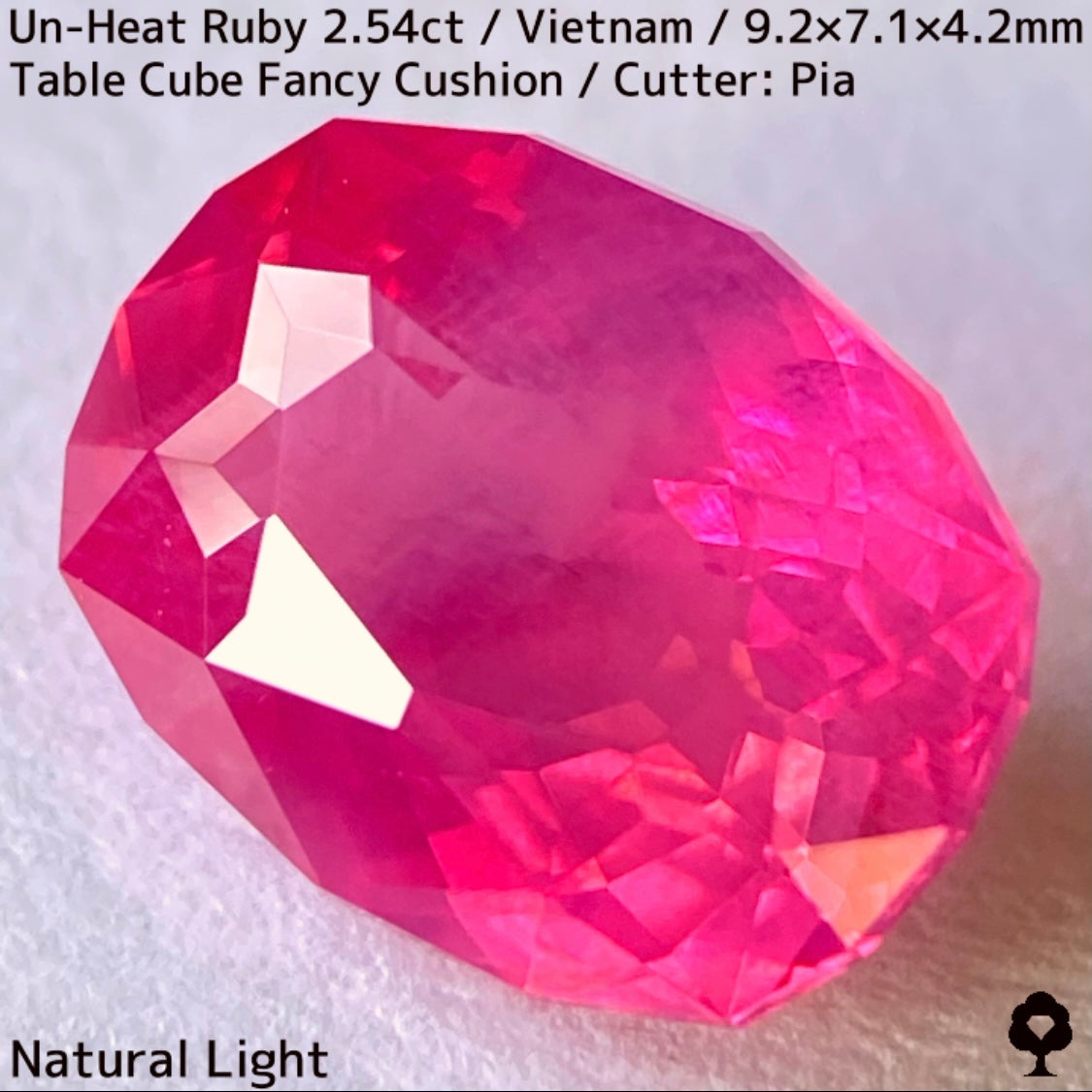 [Ruby Focus] Un-Heat Ruby 2.54ct / Vietnam