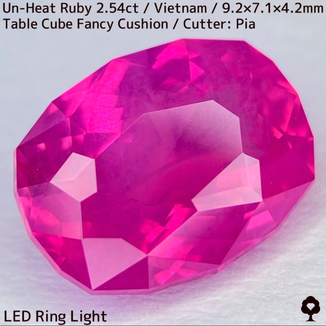 [Ruby Focus] Un-Heat Ruby 2.54ct / Vietnam