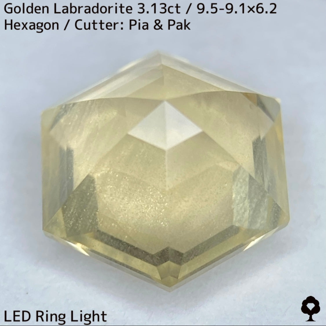 Golden Labradorite 3.13ct★A stone that seems to seal a sparkling sandstorm in a labyrinth★Includes rough stones from the same lot