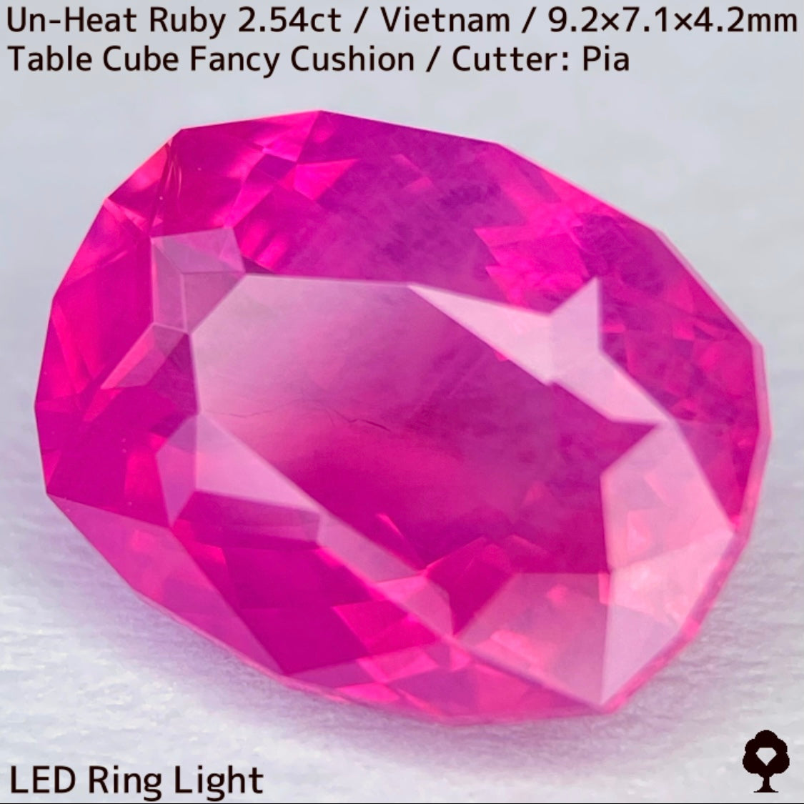 [Ruby Focus] Un-Heat Ruby 2.54ct / Vietnam