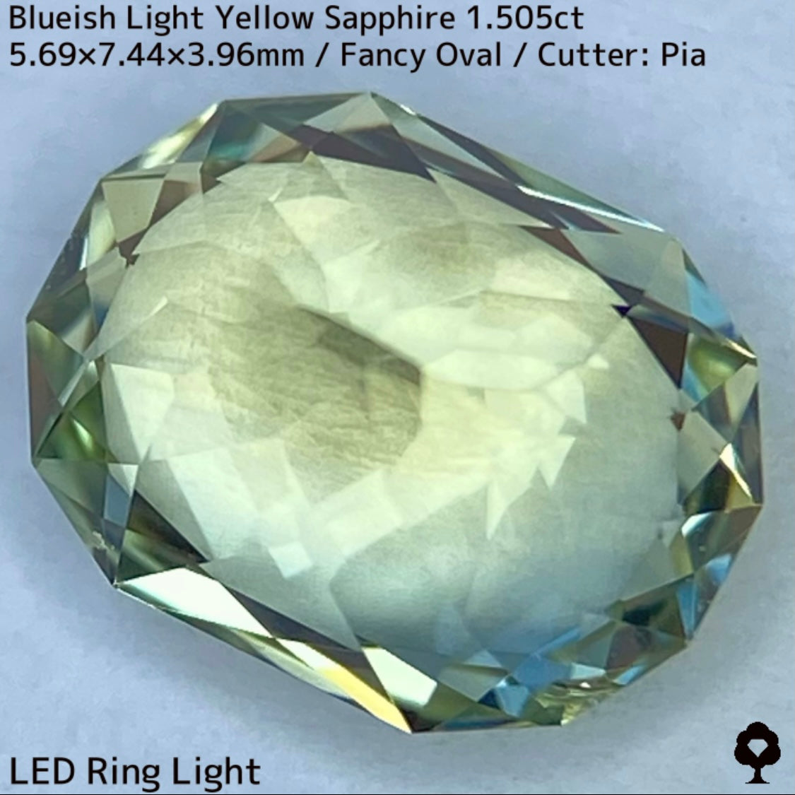 Kanchanaburi Sapphire 1.505ct