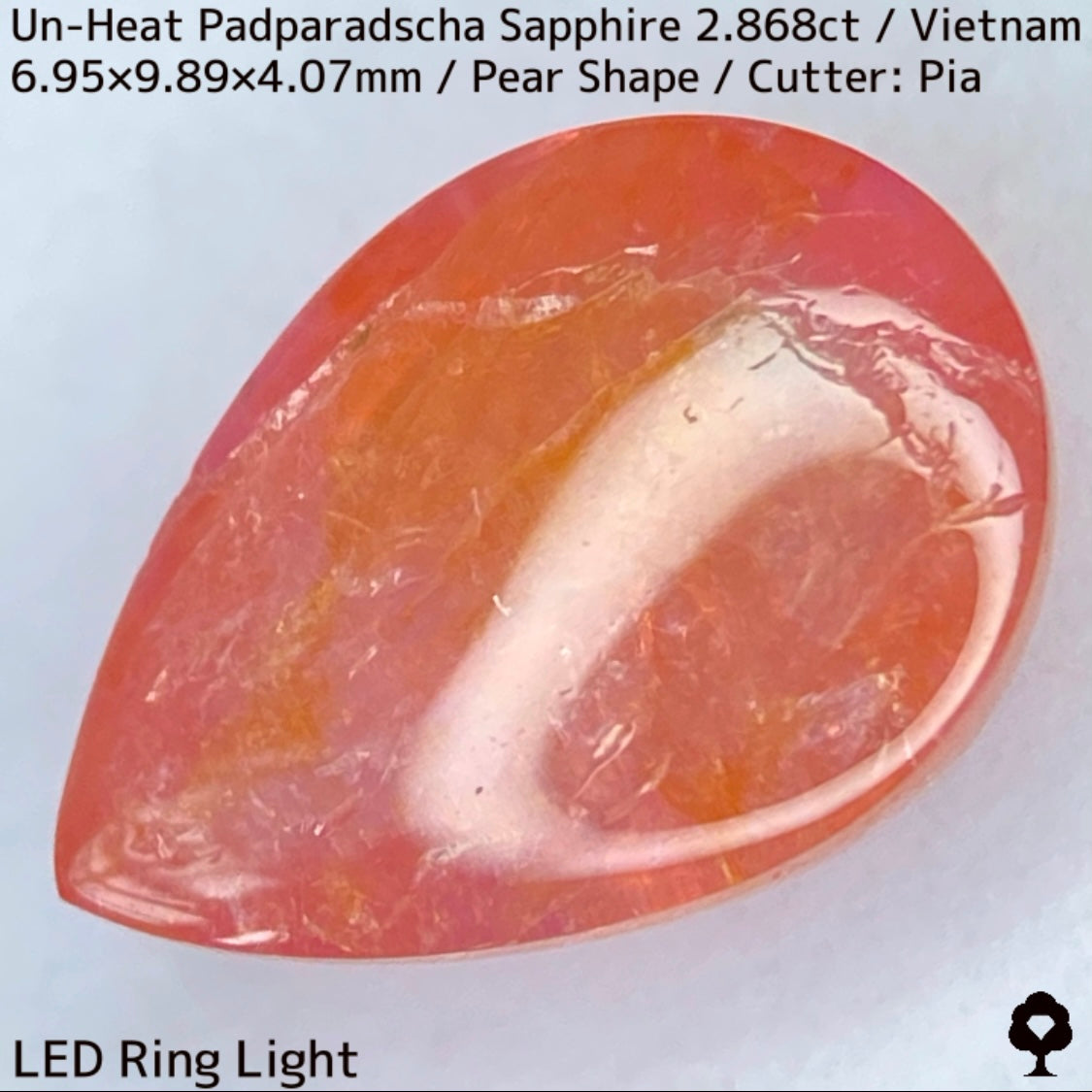 Un-Heat Padparadscha Sapphire 2.868ct / Vietnam