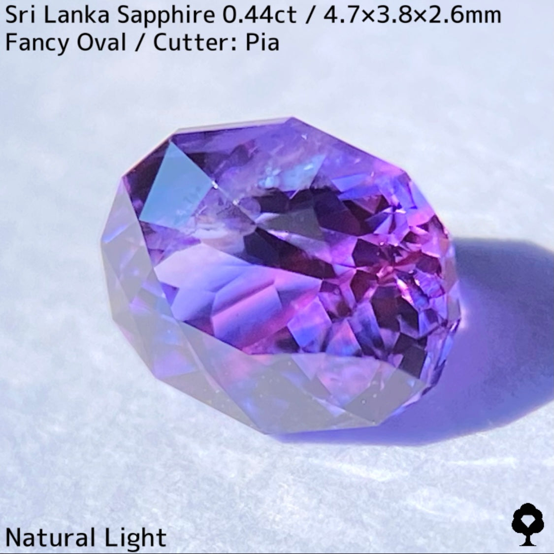 [For the successful bidder only] Sri Lankan sapphire 0.44ct ★ 2024.1.14 GTJ Founding Anniversary Chat Auction