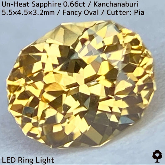 Un-Heat Yellow Sapphire 0.661ct / Kanchanaburi