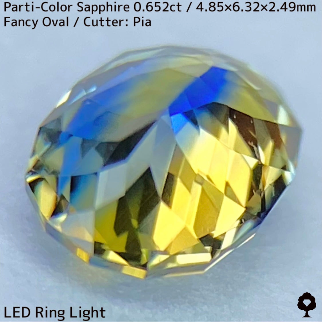 Kanchanaburi Parti-Color Sapphire 0.652ct