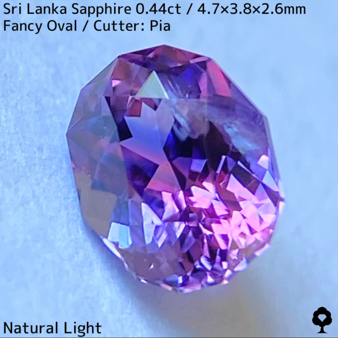 [For the successful bidder only] Sri Lankan sapphire 0.44ct ★ 2024.1.14 GTJ Founding Anniversary Chat Auction