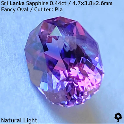 [For the successful bidder only] Sri Lankan sapphire 0.44ct ★ 2024.1.14 GTJ Founding Anniversary Chat Auction