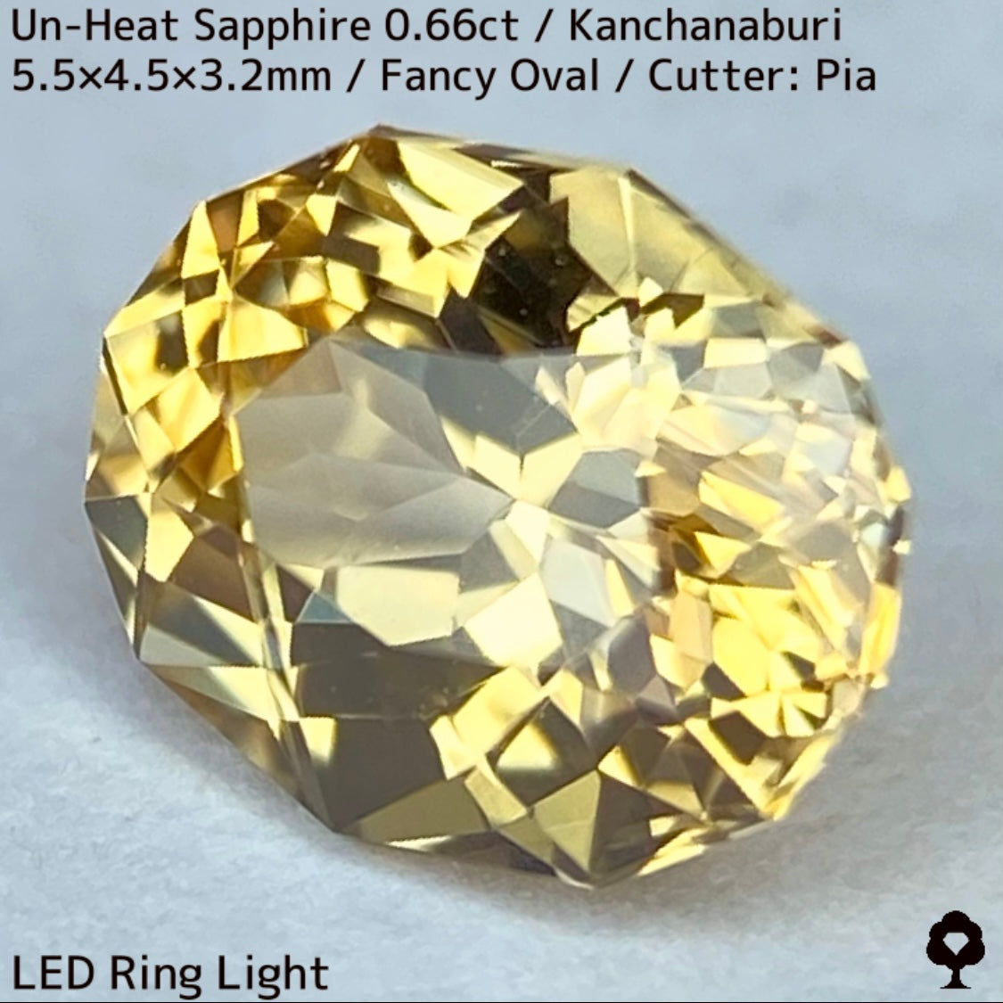 Un-Heat Yellow Sapphire 0.661ct / Kanchanaburi