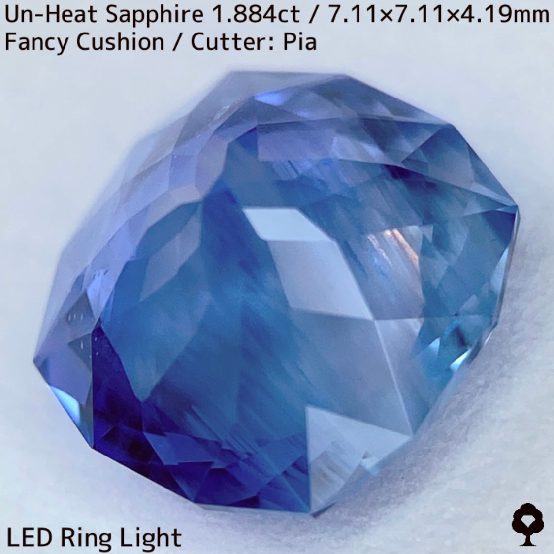 [For the successful bidder only] Unheated sapphire 1.884ct★2024.1.14GTJ Founding Anniversary Chat Auction