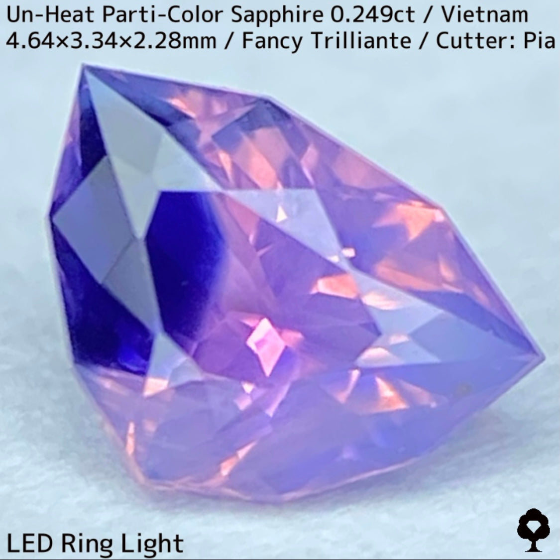 Parti-Color Sapphire 0.249ct / Vietnam