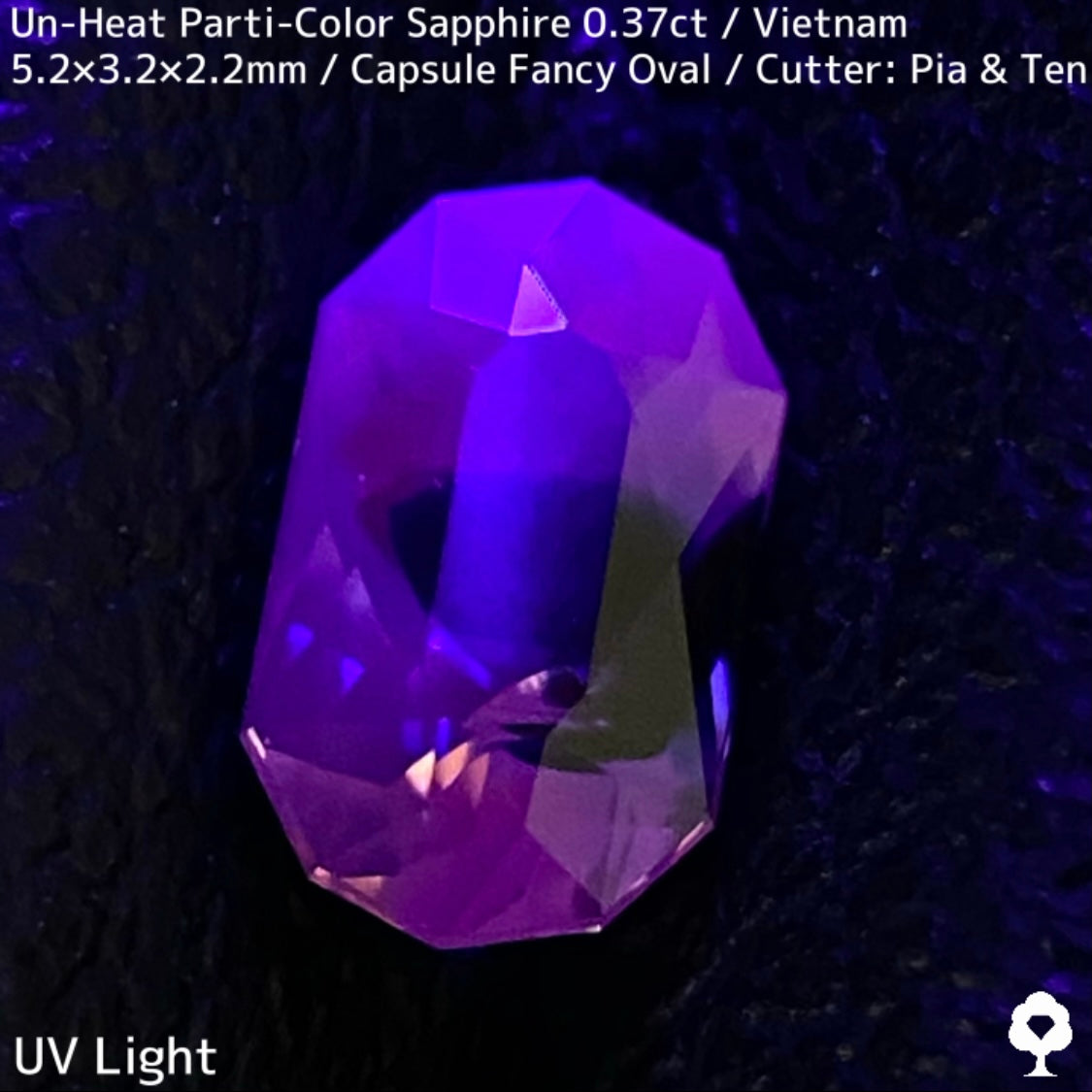 [For the Winner Only] Unheated Parti-Color Sapphire from Vietnam 0.361ct