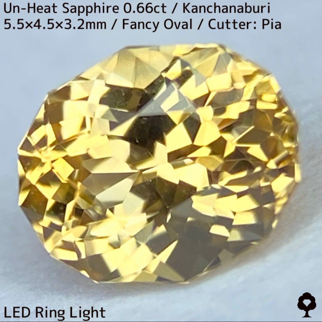 Un-Heat Yellow Sapphire 0.661ct / Kanchanaburi