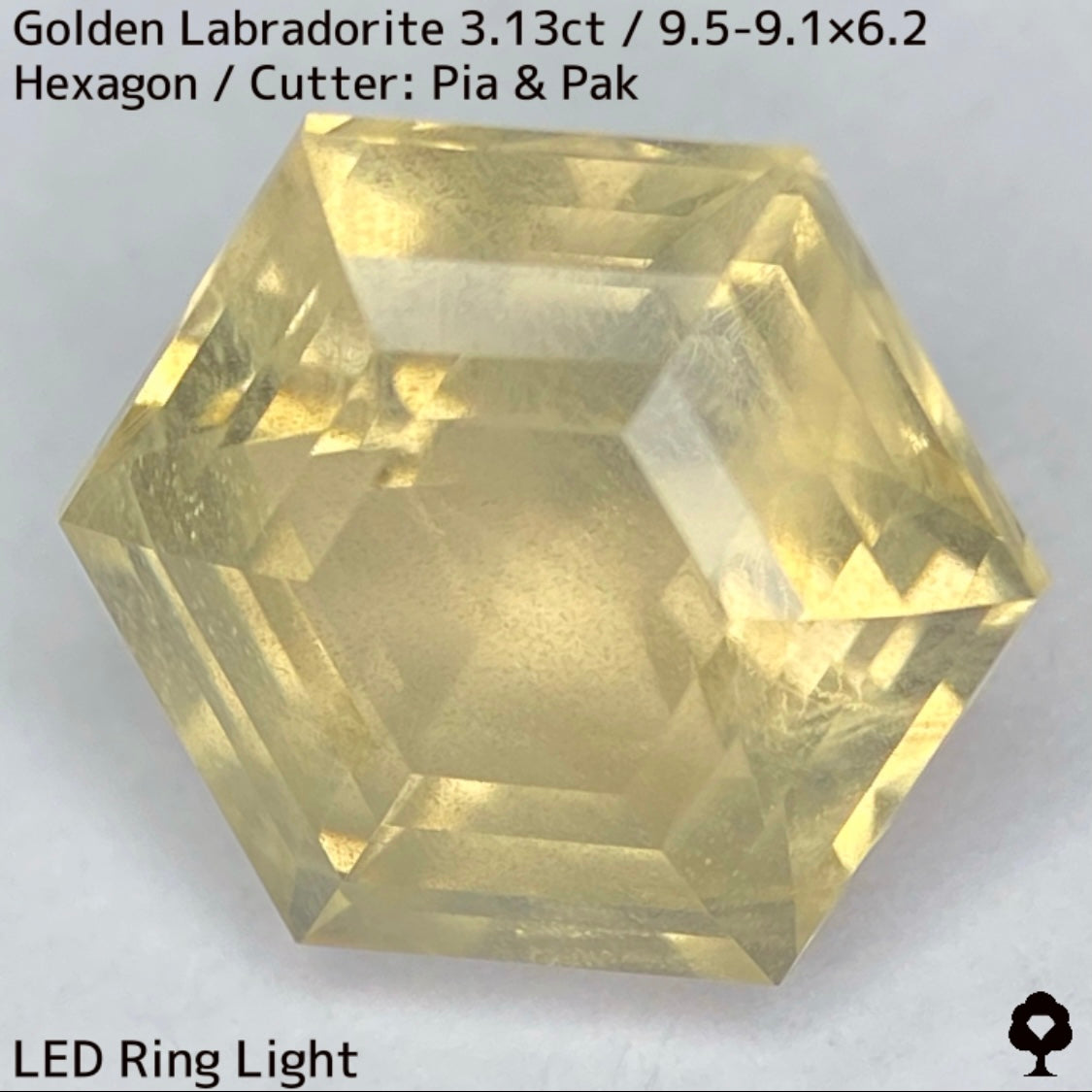 Golden Labradorite 3.13ct★A stone that seems to seal a sparkling sandstorm in a labyrinth★Includes rough stones from the same lot